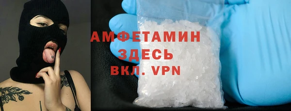 твердый Надым
