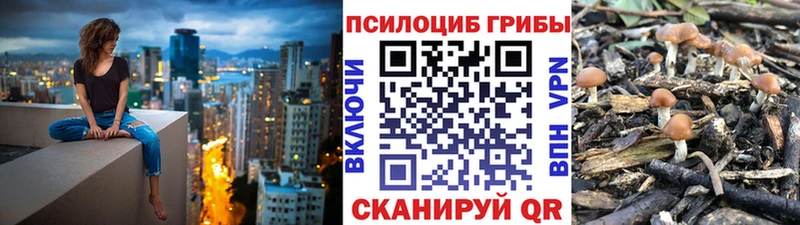 магазин продажи наркотиков  Гагарин  Псилоцибиновые грибы мицелий 