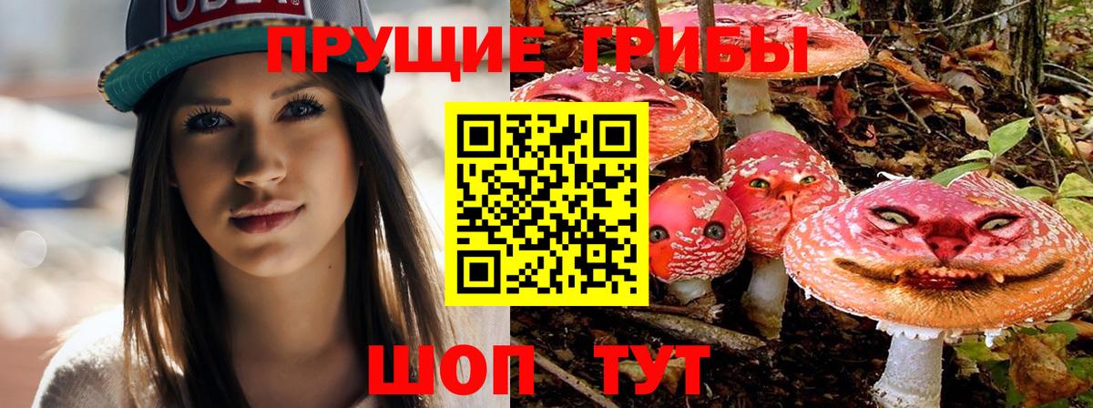 Галлюциногенные грибы Cubensis Гагарин