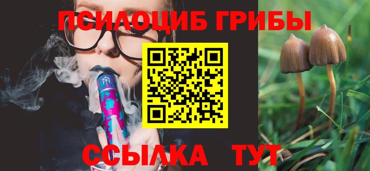 Галлюциногенные грибы мухоморы  Галлюциногенные грибы GOLDEN TEACHER  Гагарин  Вход с VPN 